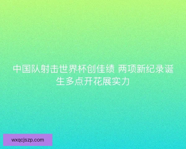 中国队射击世界杯创佳绩 两项新纪录诞生多点开花展实力